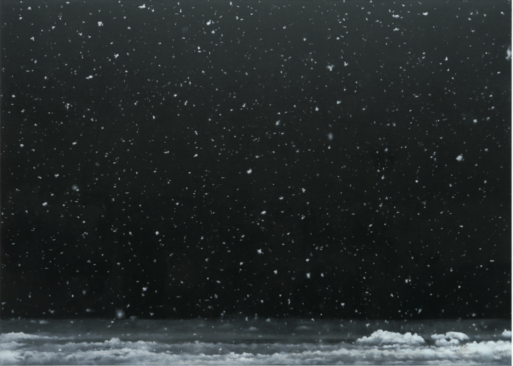 Vija Celmins, Snowfall #3, 2022–24