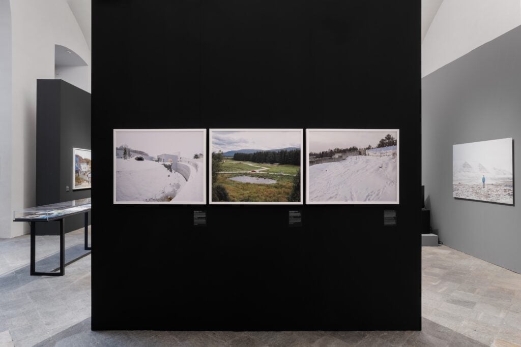 White bear - Installation view - Ph Buccia Studio © EXPOSED Torino Foto Festival