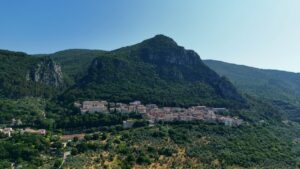 PAZ /// esperienza Cesi. La Comunità tra pensiero e azione