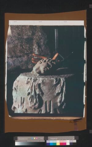 Anna Franceschini - Venere&Marte