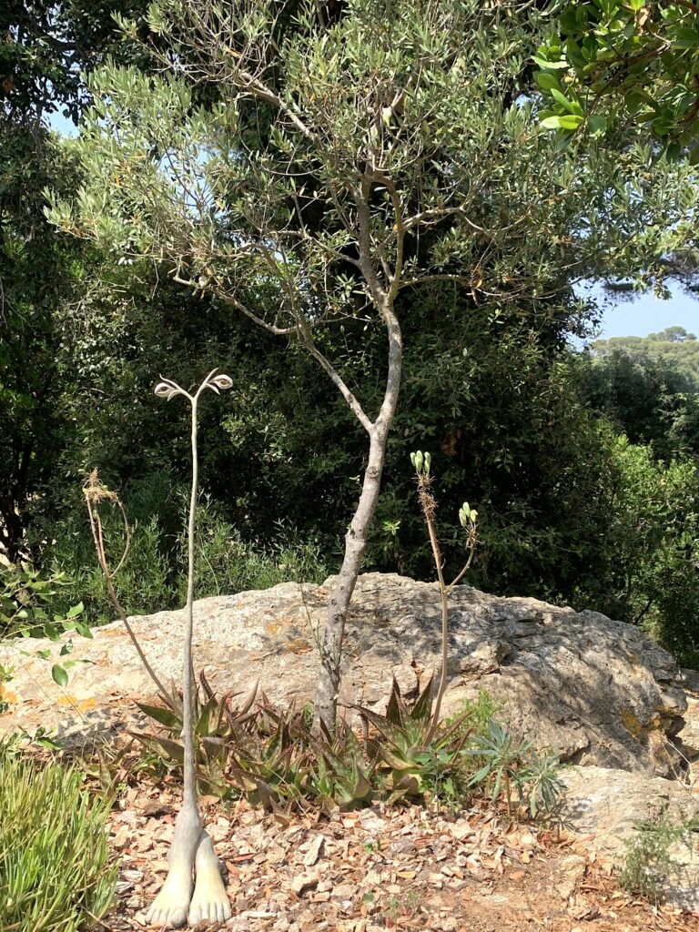 Fondation Villa Carmignac - Ph. Claudia Zanfi