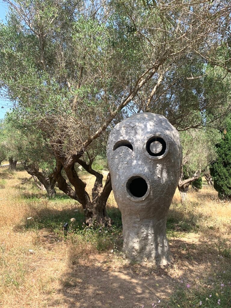 Fondation Villa Carmignac - Ph. Claudia Zanfi