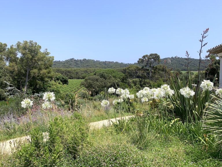Fondation Villa Carmignac - Ph. Claudia Zanfi