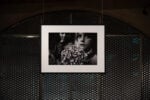 Sala fotografia, particolare con: Letizia Battaglia, Domenica di Pasqua, le ortensie, Trapani, 1992, stampa fotografica, cm 70 x 50, collezione Museo Civico di Castelbuono, foto Valentina Minutella
