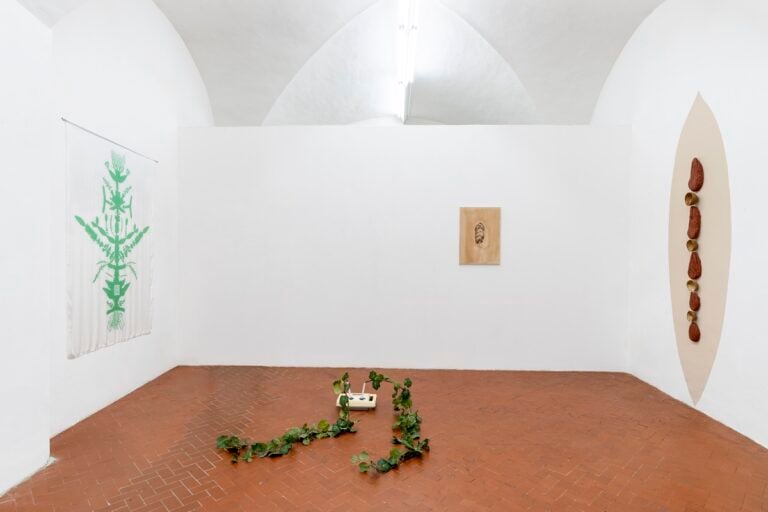 And the ground begins to breathe, Galleria FuoriCampo, Siena, 2025. Photo Ela Bialkowska OKNO studio