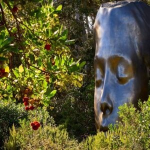 L’arte e la bellezza della Fondazione Carmignac, la fattoria diventata museo in Francia