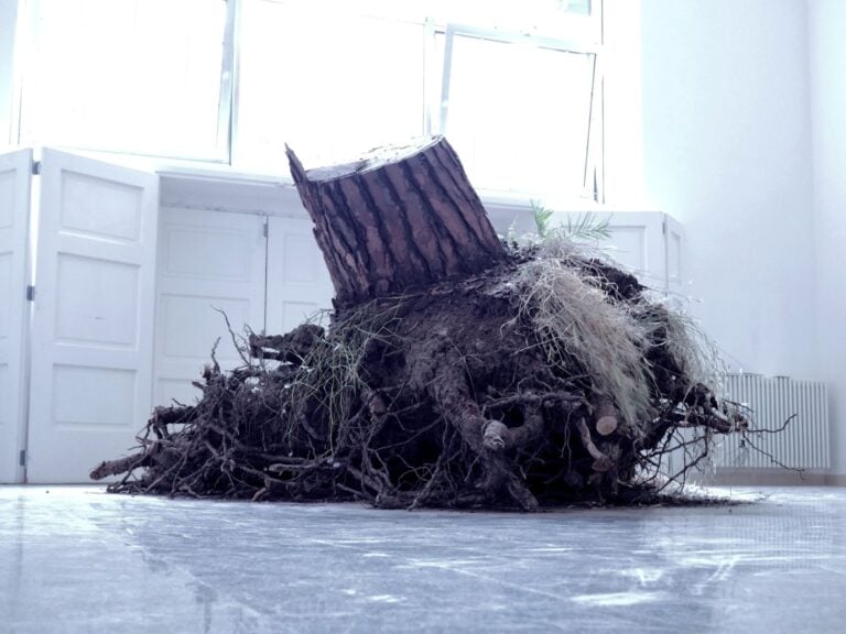 Christoph Keller, Ceppo Sradicato, 2018. Ceppo di pino. Courtesy l’artista