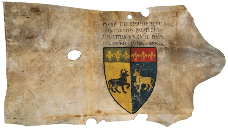 Coperta in pergamena del 1428
