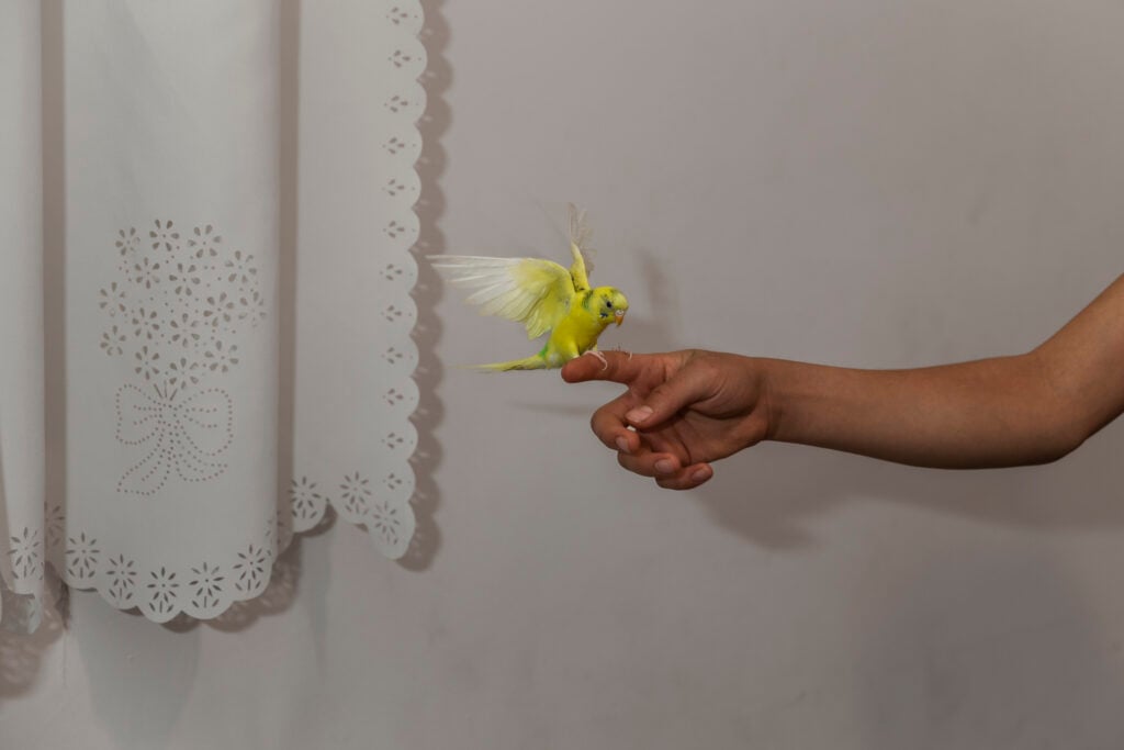 L’Iran nelle fotografie emotive di Parisa Azadi al Festival Cortona On the Move