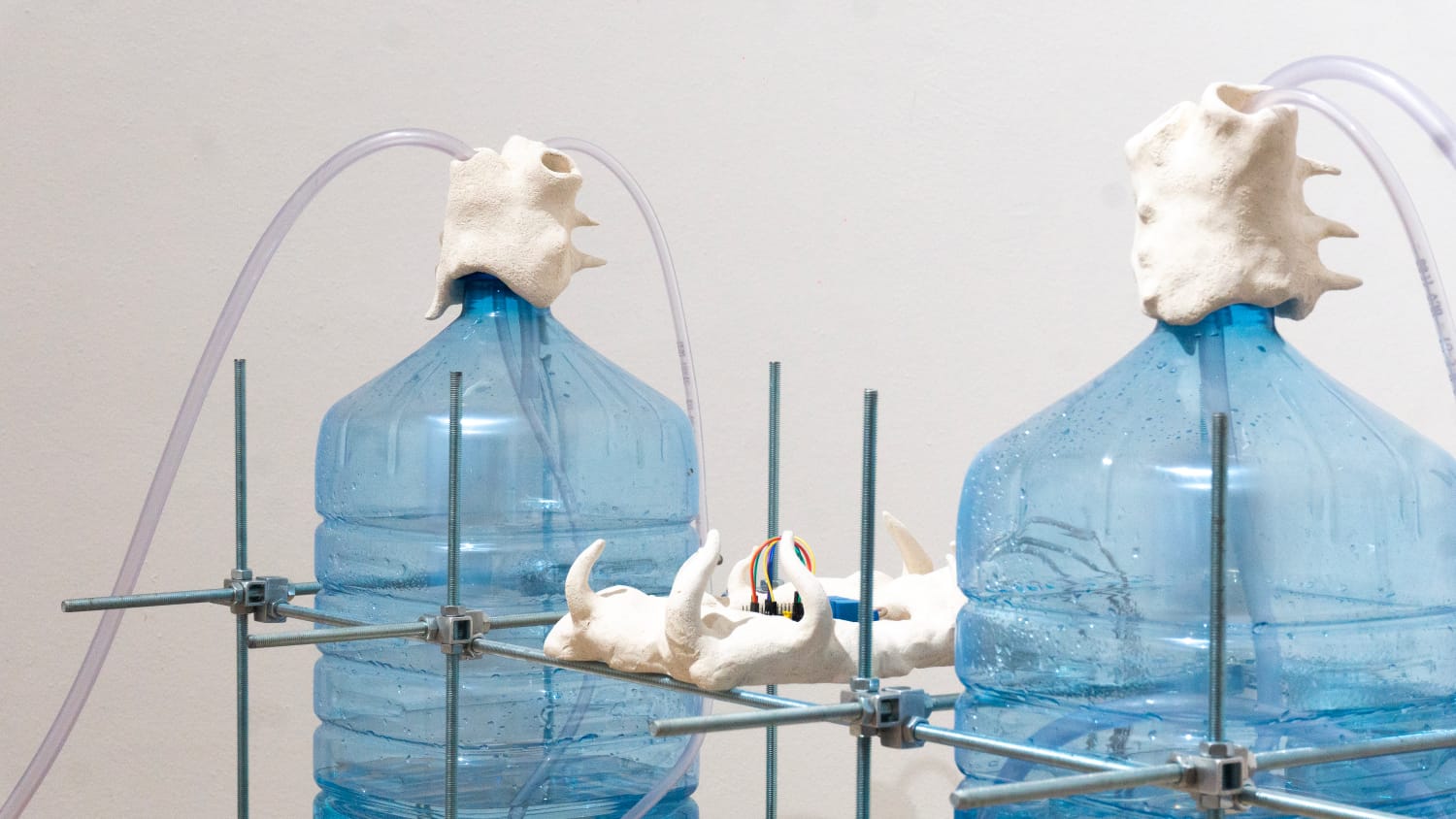 Enzo e Barbara, Depuratore 2. Foto Vincenzo Alessandria