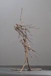 Giorgio Benni, Giuseppe Penone