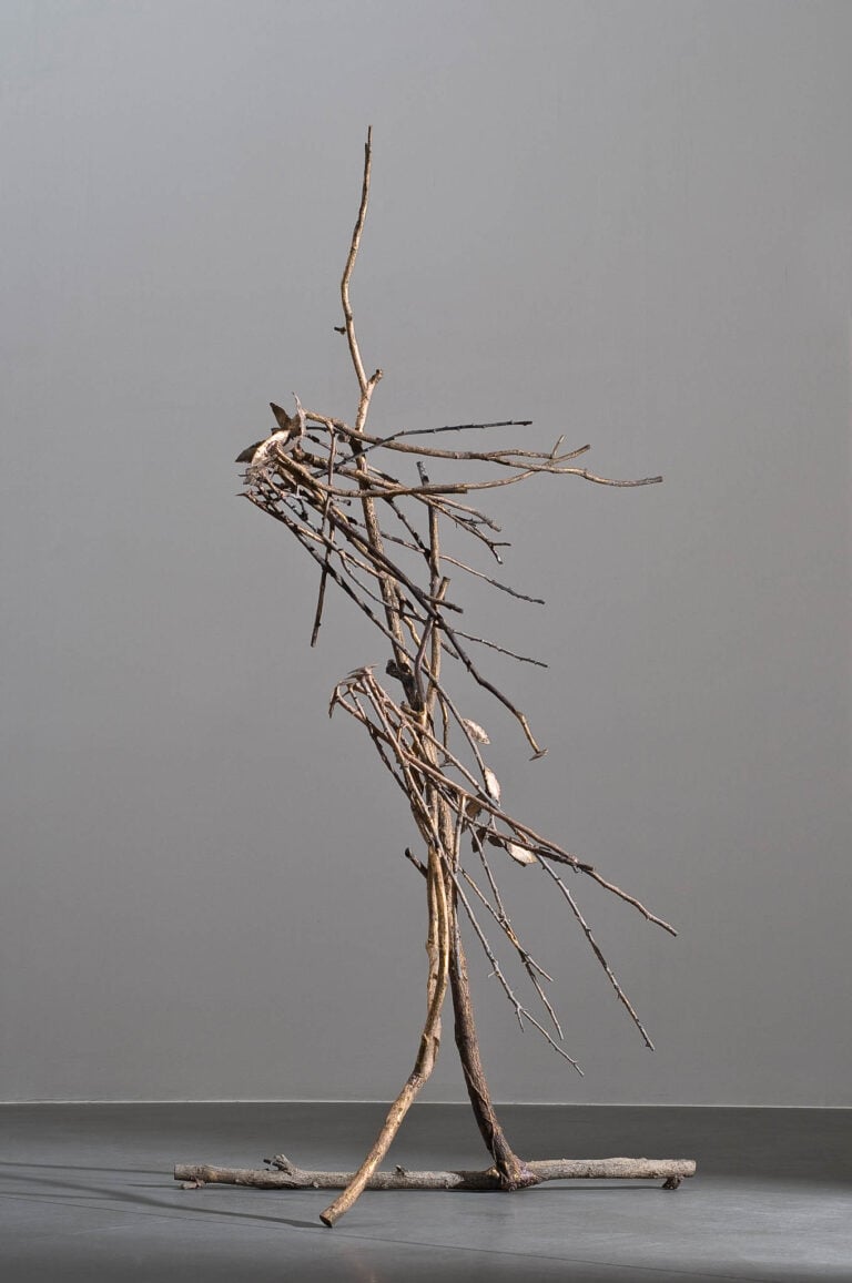 Giorgio Benni, Giuseppe Penone