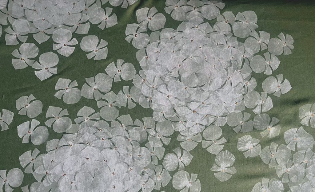Grifantini, Hydrangea