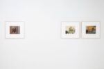 Le fotografie di Guido Guidi rallentano il tempo. Una importante mostra a Milano