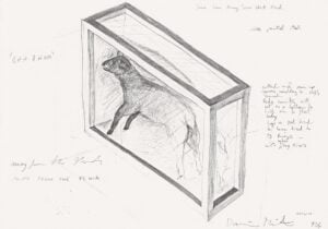 Disegni e schizzi di Damien Hirst in mostra a Vienna. Qui il video