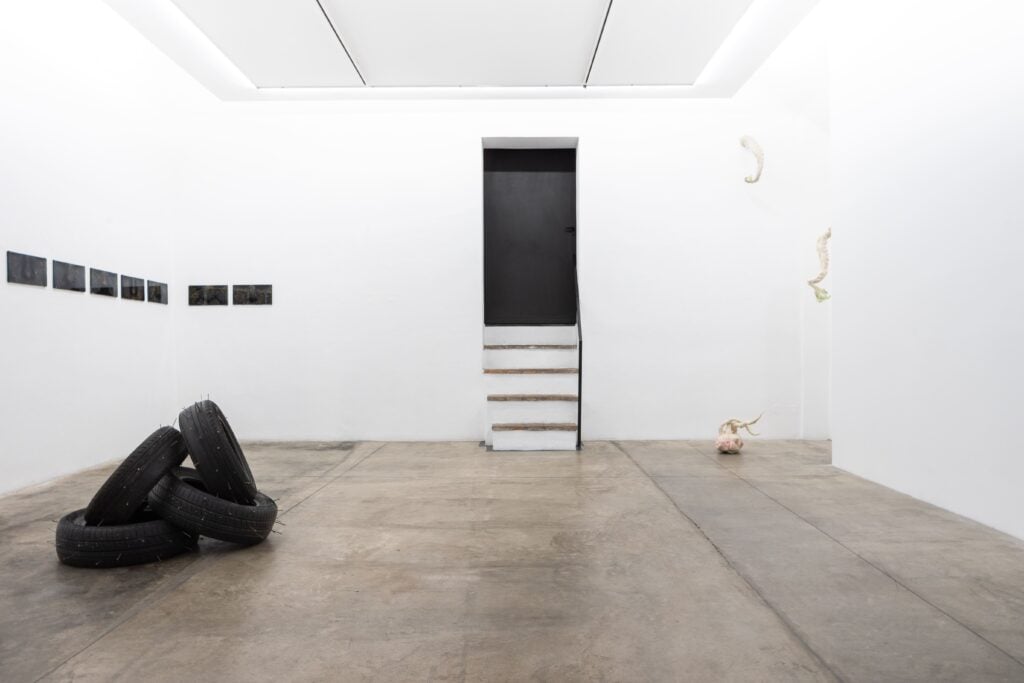 Installation view Galleria Studio G7, Courtesy Galleria Studio G7 , Photo Francesco Rucci