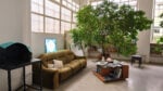 LMNL Space