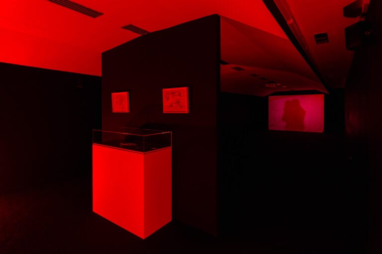 Lovett-Codagnone, I Only Want You to Love Me, installation view at PAC, Milano, 2025