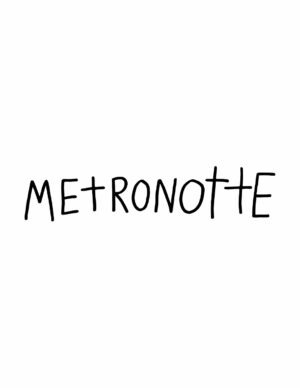 Marcello Maloberti - Metronotte