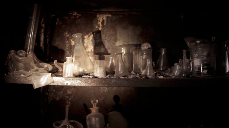 Raffaela Mariniello - Still in life - 2014, courtesy artist e Studi Trisorio, Napoli