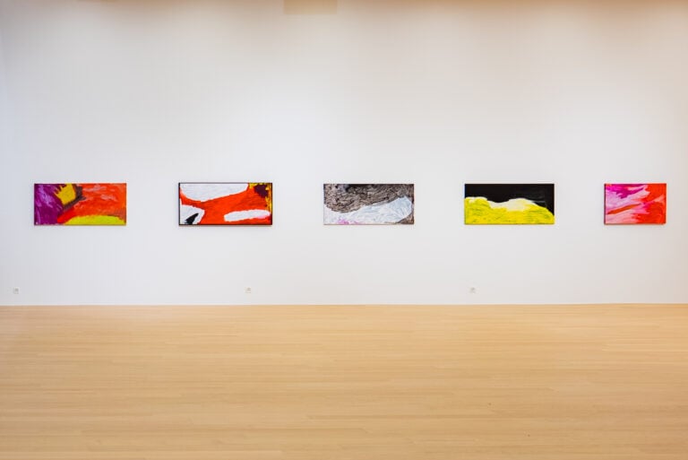 Fondazione Opale, Sally Gabori and Forrest Bess, Beneath the Reflections of the World, Installation View
