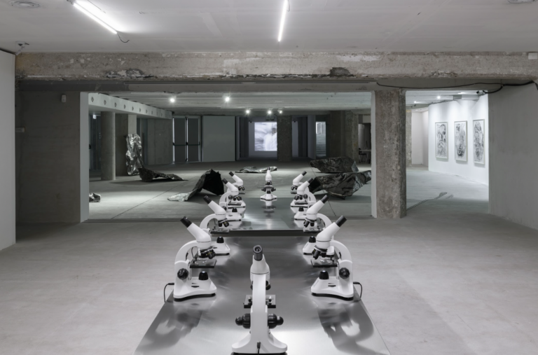schermata 2025 07 08 alle 103010 La “scomparsa” del trio artistico Canemorto in mostra a Roma