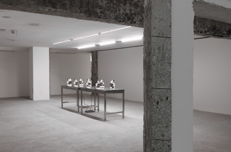 schermata 2025 07 08 alle 103026 La “scomparsa” del trio artistico Canemorto in mostra a Roma