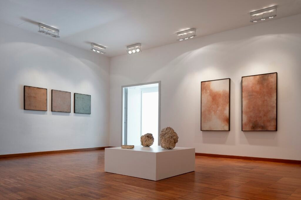 Silvia Infranco – Trame organiche