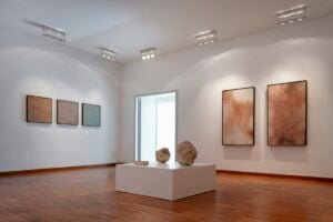 Silvia Infranco - Trame organiche