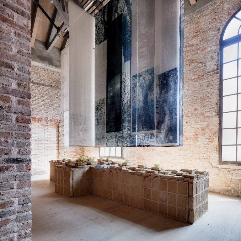 The Land Remembers, Lebanon Pavilio at Venice Biennale 2025, installation view. Courtesy Lebanon Pavilion