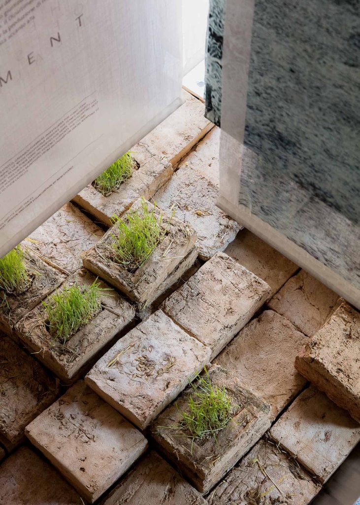 The Land Remembers, Lebanon Pavilio at Venice Biennale 2025, installation view. Courtesy Lebanon Pavilion