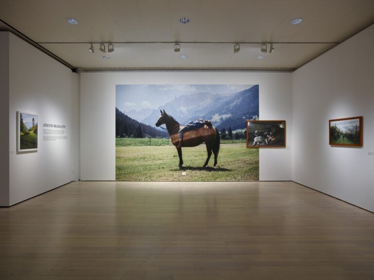 Trentino Unexpected. Vedute della mostra. Ph Trentino Marketing, Carlo Baroni, 2025