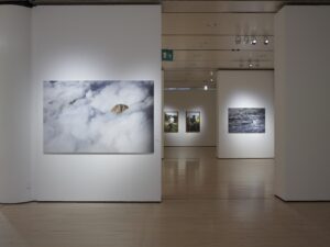 Le storie e i paesaggi del Trentino si raccontano in una mostra fotografica al Mart di Rovereto