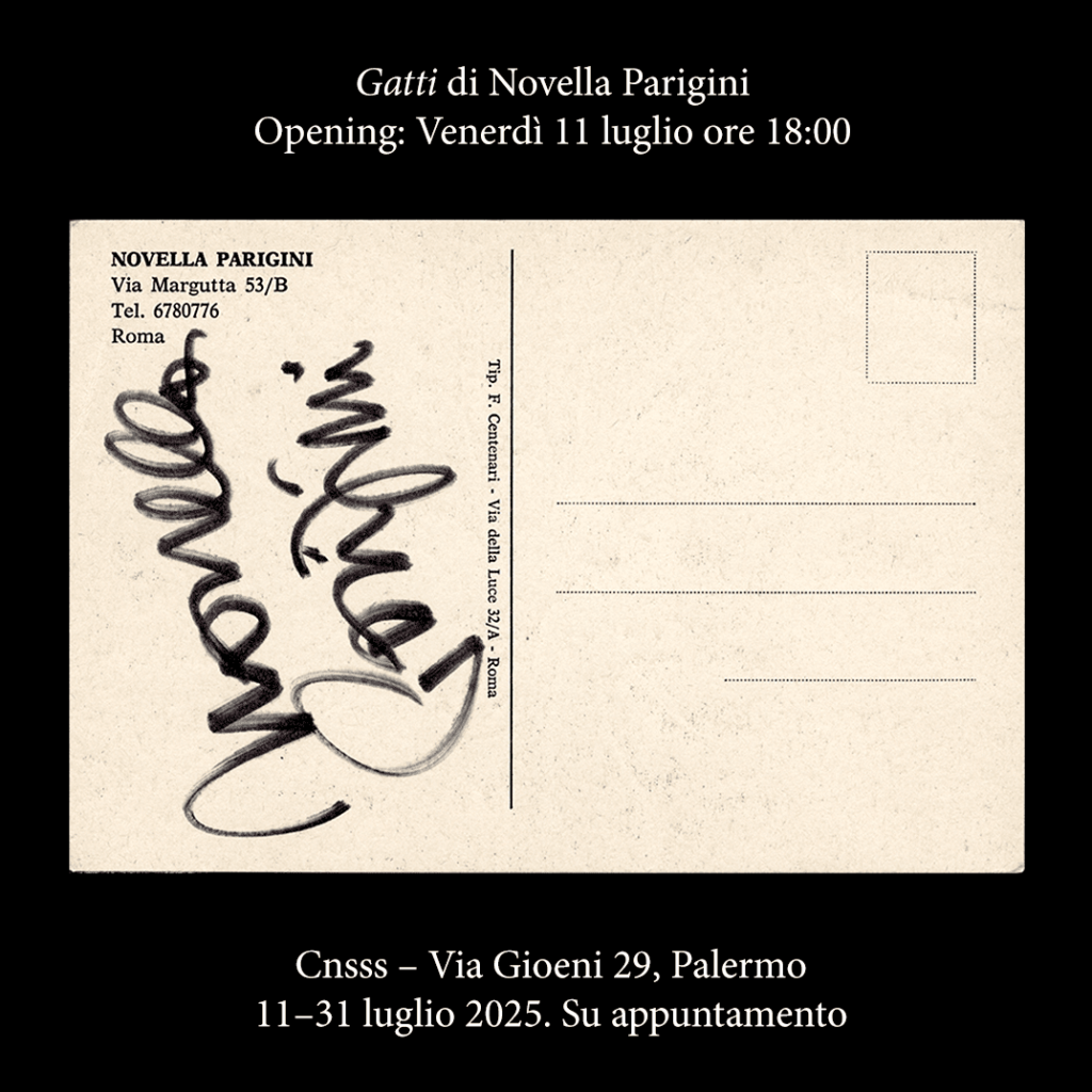Novella Parigini – Gatti