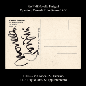 Novella Parigini - Gatti
