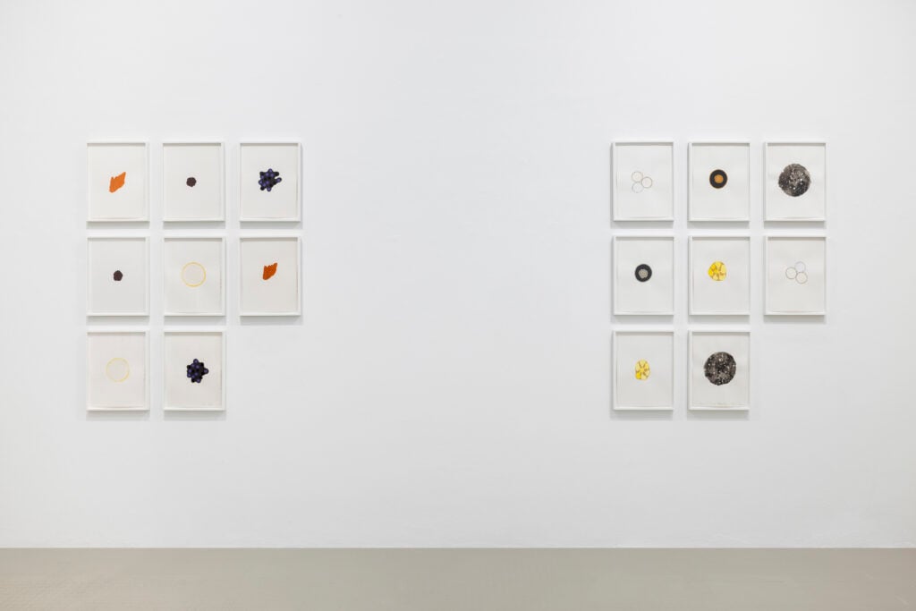 Veduta della mostra, Roni Horn, Galleria Raffaella Cortese, Milan, 2025. Courtesy of the Artist and Galleria Raffaella Cortese, Milan - Albisola. Photo Andrea Rossetti