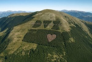 Gli alberi con la scritta DVX sopra Rieti? Trasformiamo tutto in un’opera di land art
