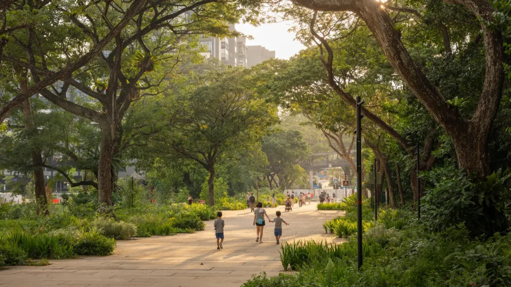 A Singapore un vecchio cimitero è diventato un parco comunitario e un santuario per uccelli