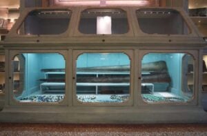 L’arte contemporanea incontra le collezioni di Palazzo Poggi a Bologna