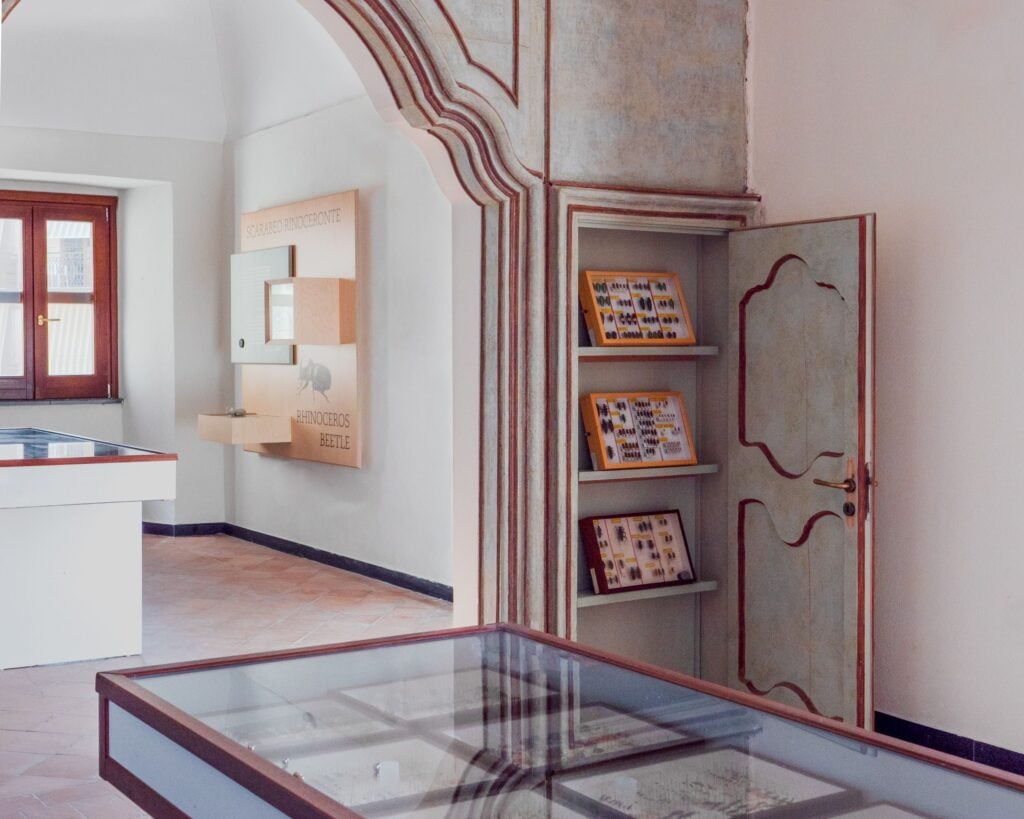 L’allestimento tra design e tecnologia di un piccolo museo nelle Madonie in Sicilia