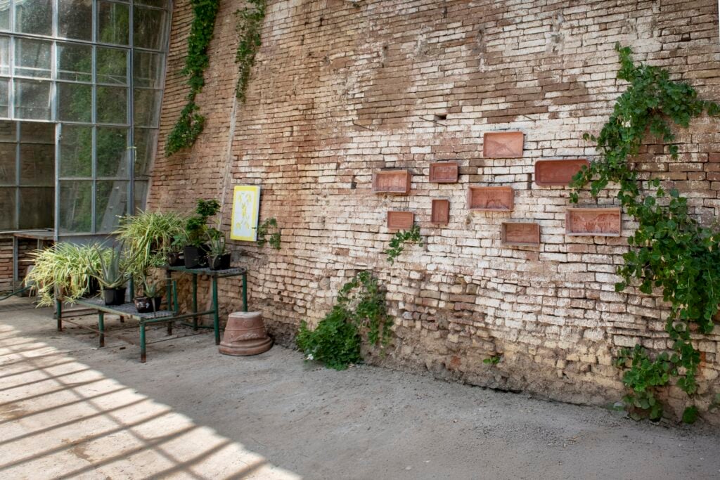 eugenia vanni volano via le cose vuote veduta dellinstallazione limonaia orto botanico universita di siena cph ela bialkowska okno studio Sei mostre in giro per Siena dedicate al tema del paesaggio