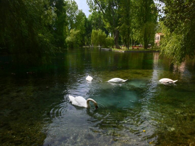 Fonti del Clitunno. Photo Emma Sedini