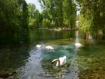 Itinerario nella natura alle Fonti del Clitunno. Visitare la “Venezia dell’Umbria” 