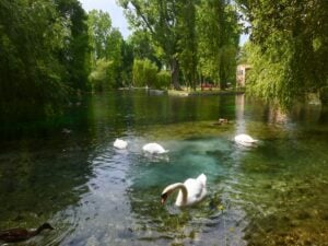Itinerario nella natura alle Fonti del Clitunno. Visitare la “Venezia dell’Umbria” 