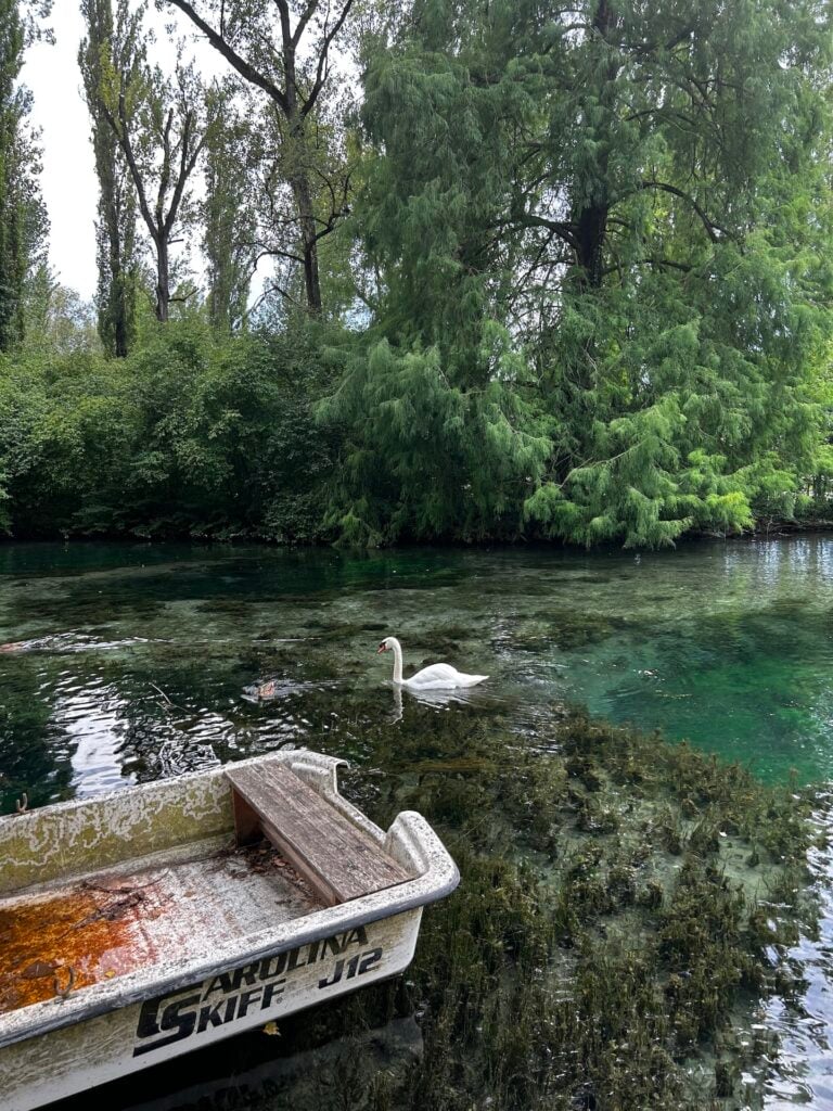 Fonti del Clitunno. Photo Emma Sedini