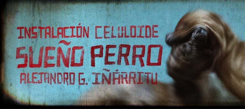 Alejandro G. Iñárritu – Sueño Perro