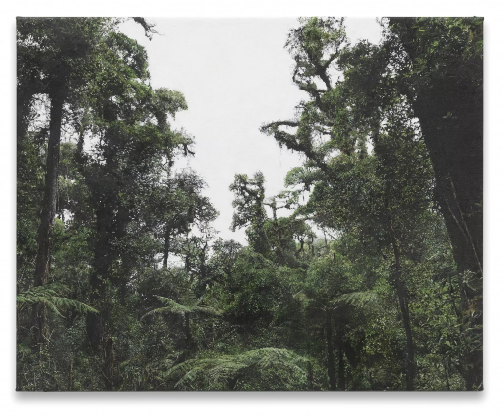 Haley Mellin, Northern Highlands, Guatemala, 2024. Courtesy of Private collection, Switzerland and Museo Novecento. Ph @Ela Bialkowska OKNO studio photography