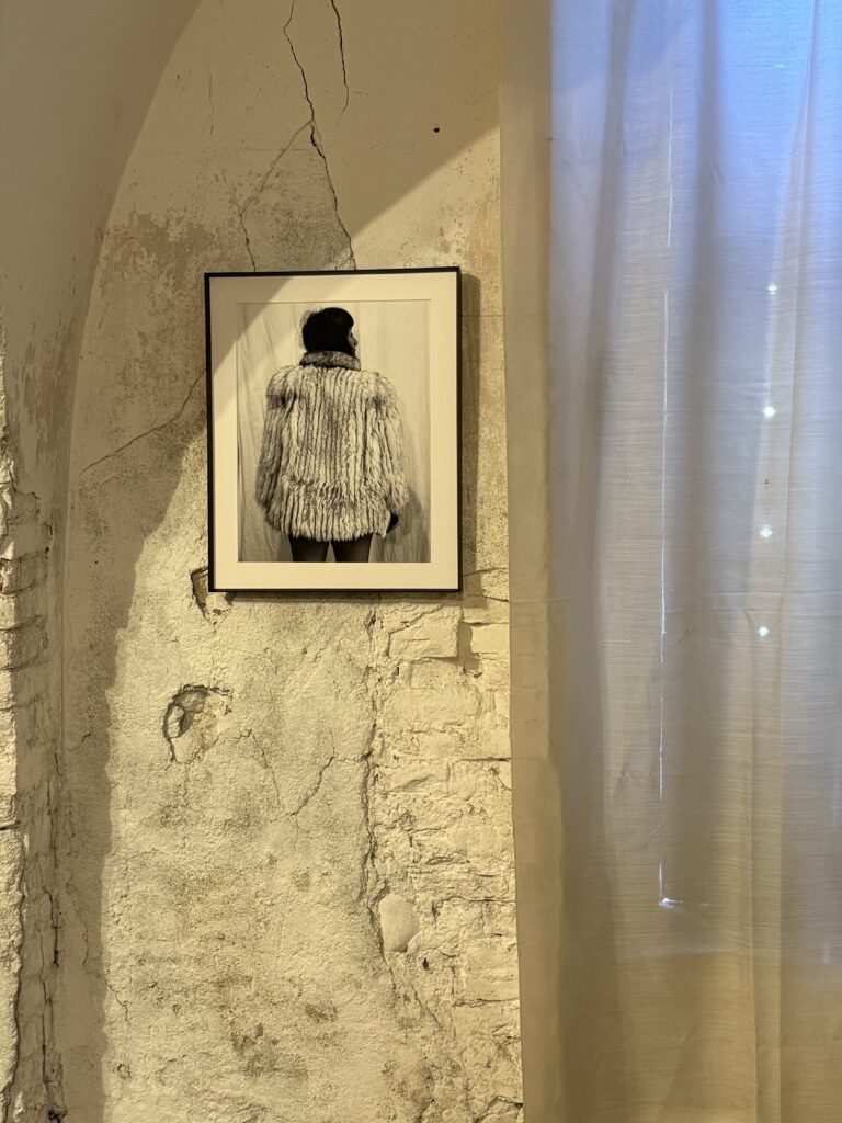 Irene Pucci a Cascina Castello, intstallation view