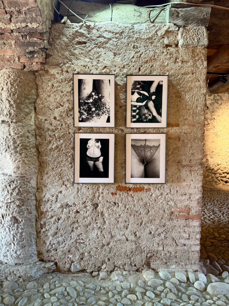 Irene Pucci a Cascina Castello, intstallation view