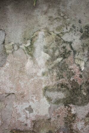 Riccardo Esposito - Mura ed Ombre